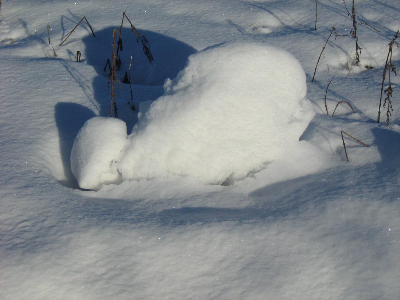 снежинка в форме кита.JPG