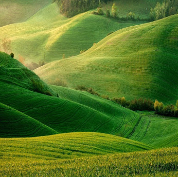 красивые поля Тоскана Италия.jpg