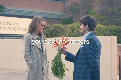 No flowers.jpg