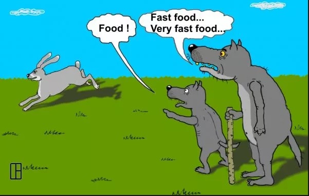 Fast food.jpg